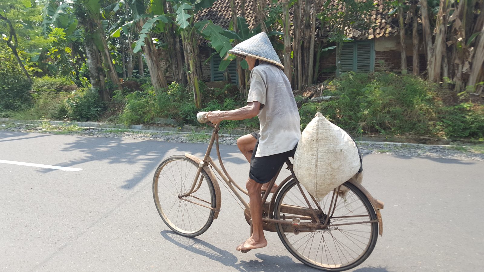 Bali & Komodo Islands