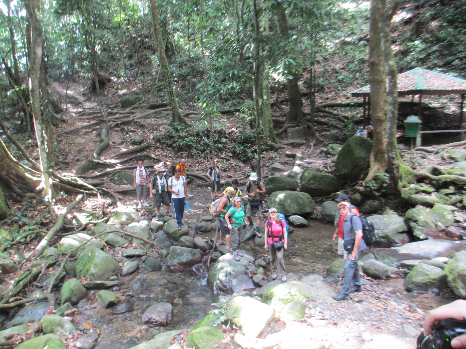Borneo West Coast