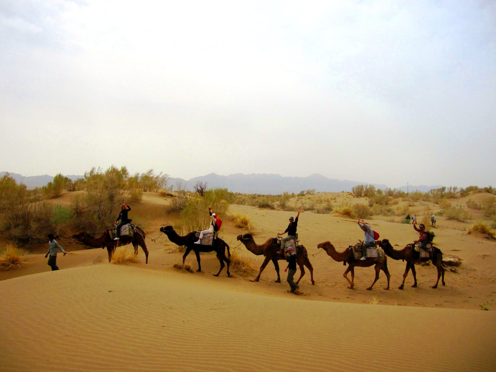Iran: Deserts & Nomads