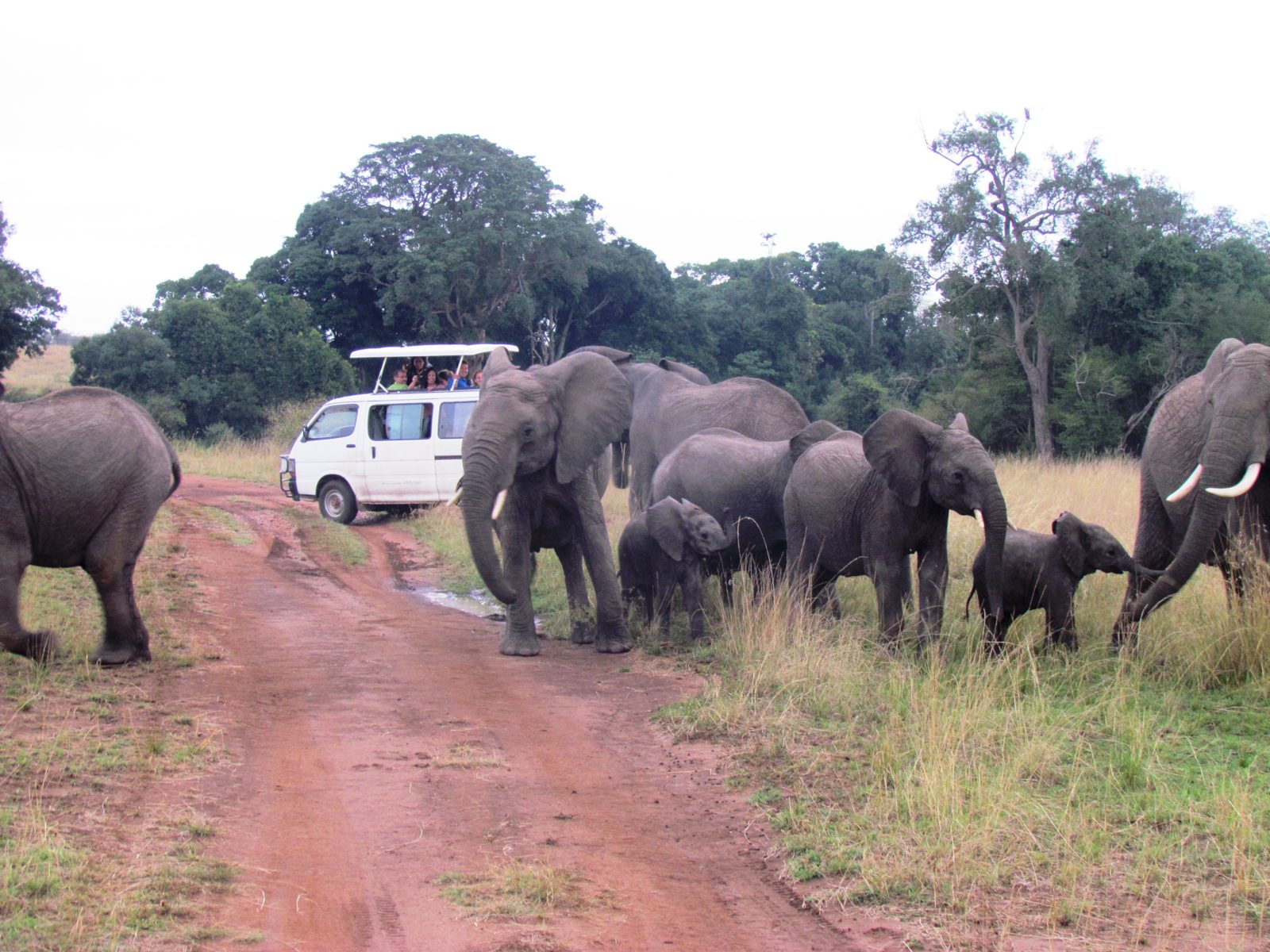 Kenya and Tanzania