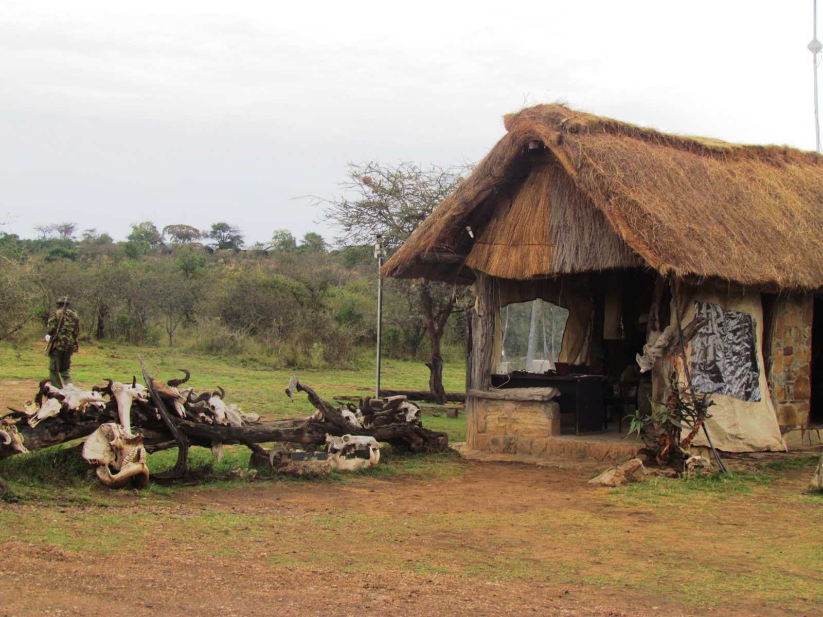 Kenya & Tanzania Safari